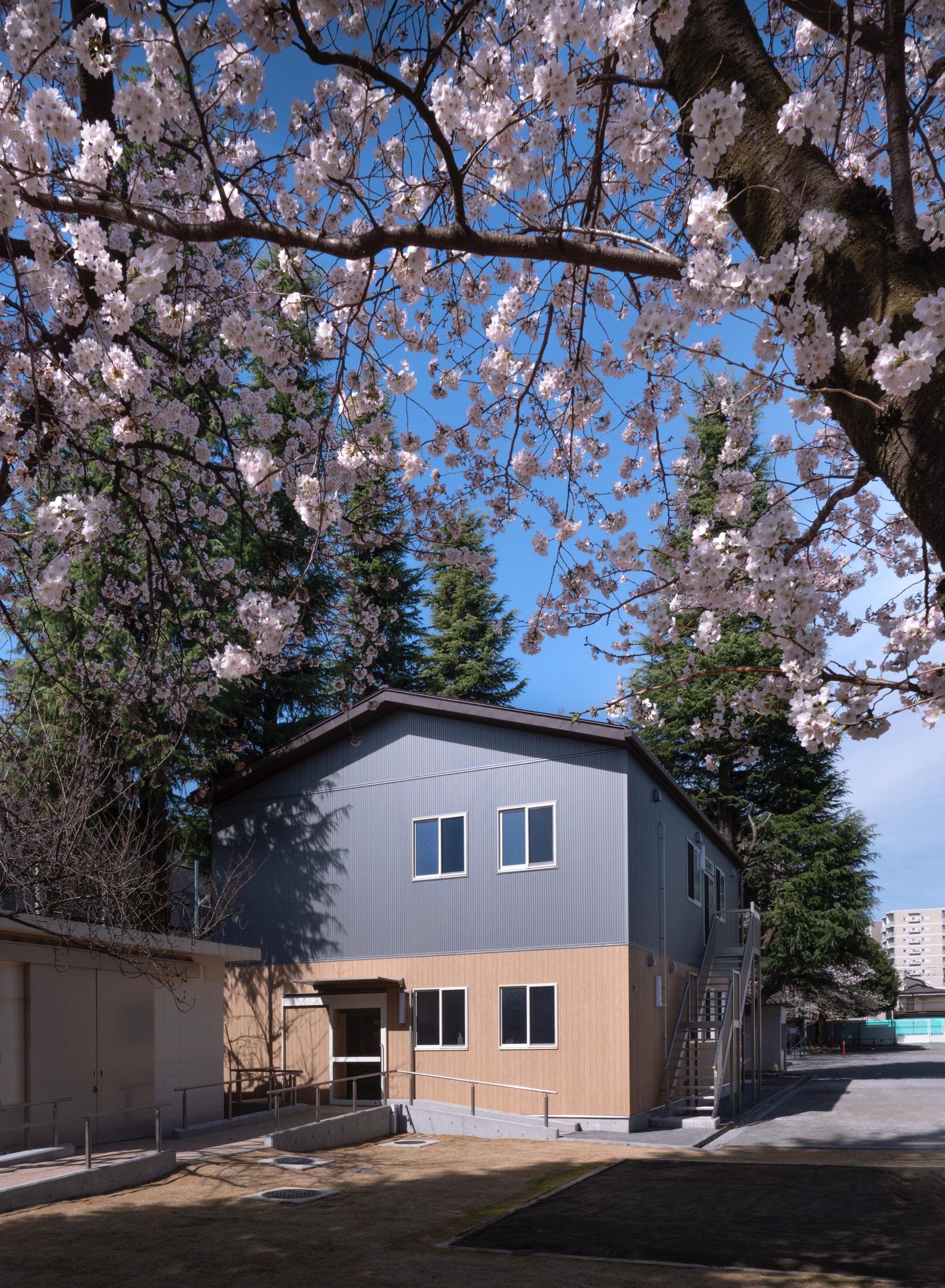 杉並区立桃一学童クラブ