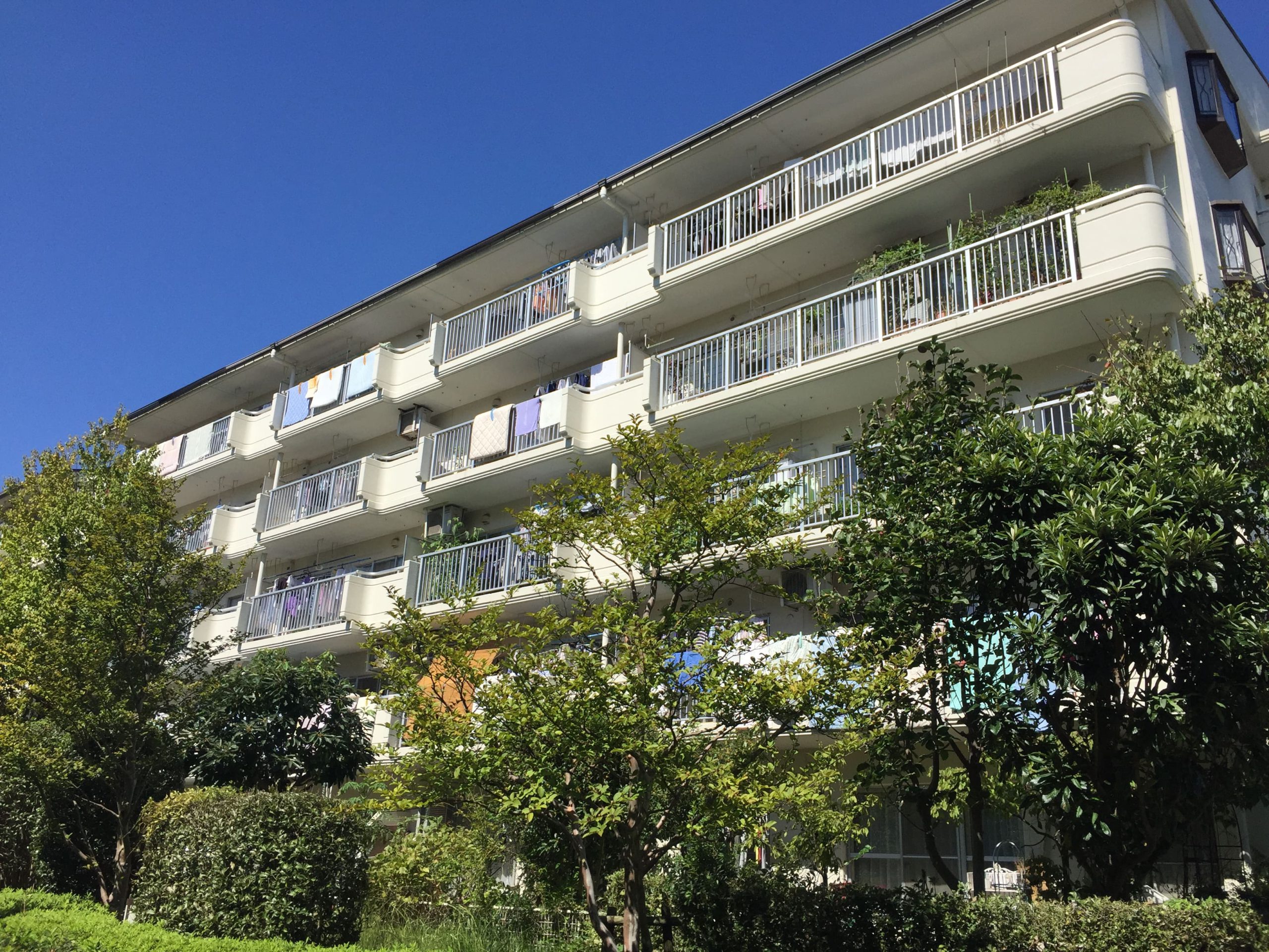 メゾン豊ヶ丘-2