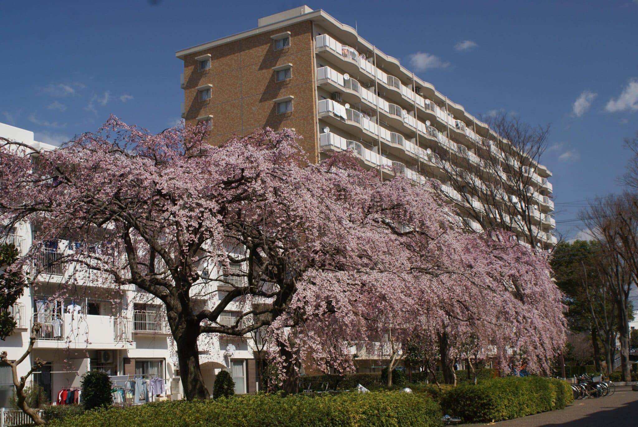 北柏ライフタウン松葉町四丁目第二住宅